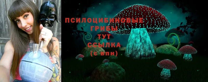 Галлюциногенные грибы Cubensis  Бронницы 